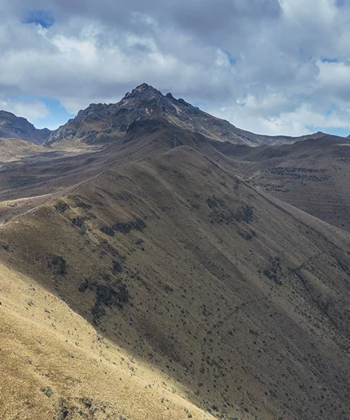 Páramo como reserva de carbón